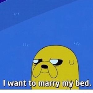 Meet your Posher, Audrey